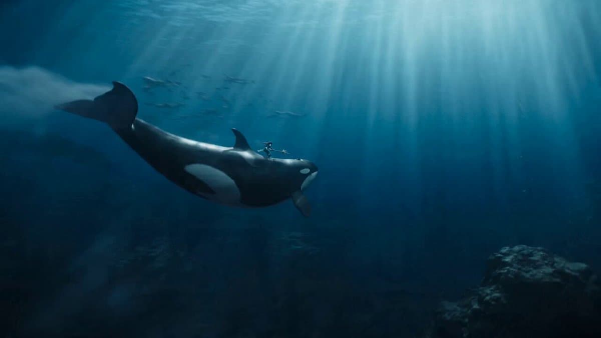 Aquatic Warrior Orca Ride preview