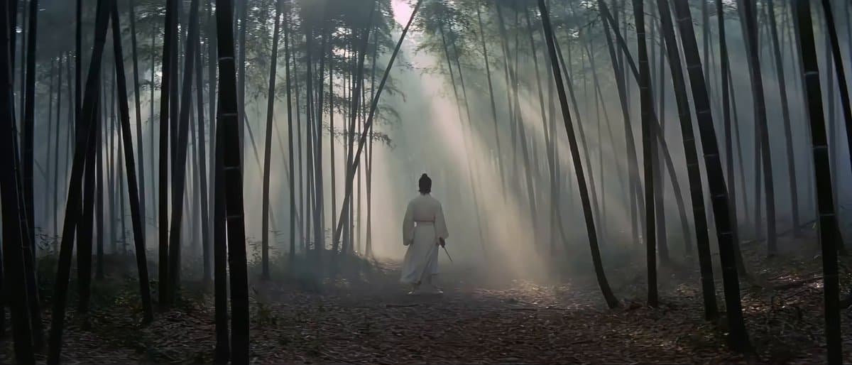King Hu Style Wuxia Film Aesthetic Video Prompt preview