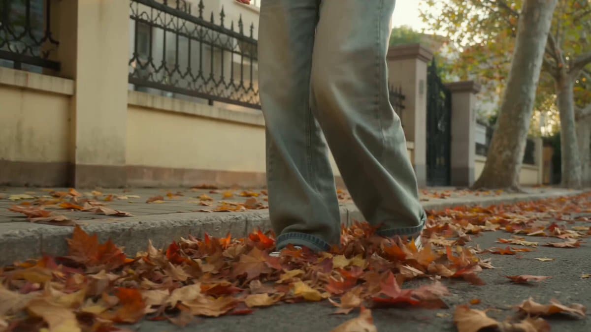 Autumn Leaves Walk Video preview