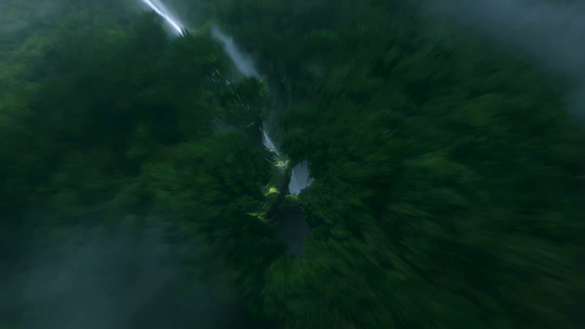 Jungle Canopy Speeder Chase preview