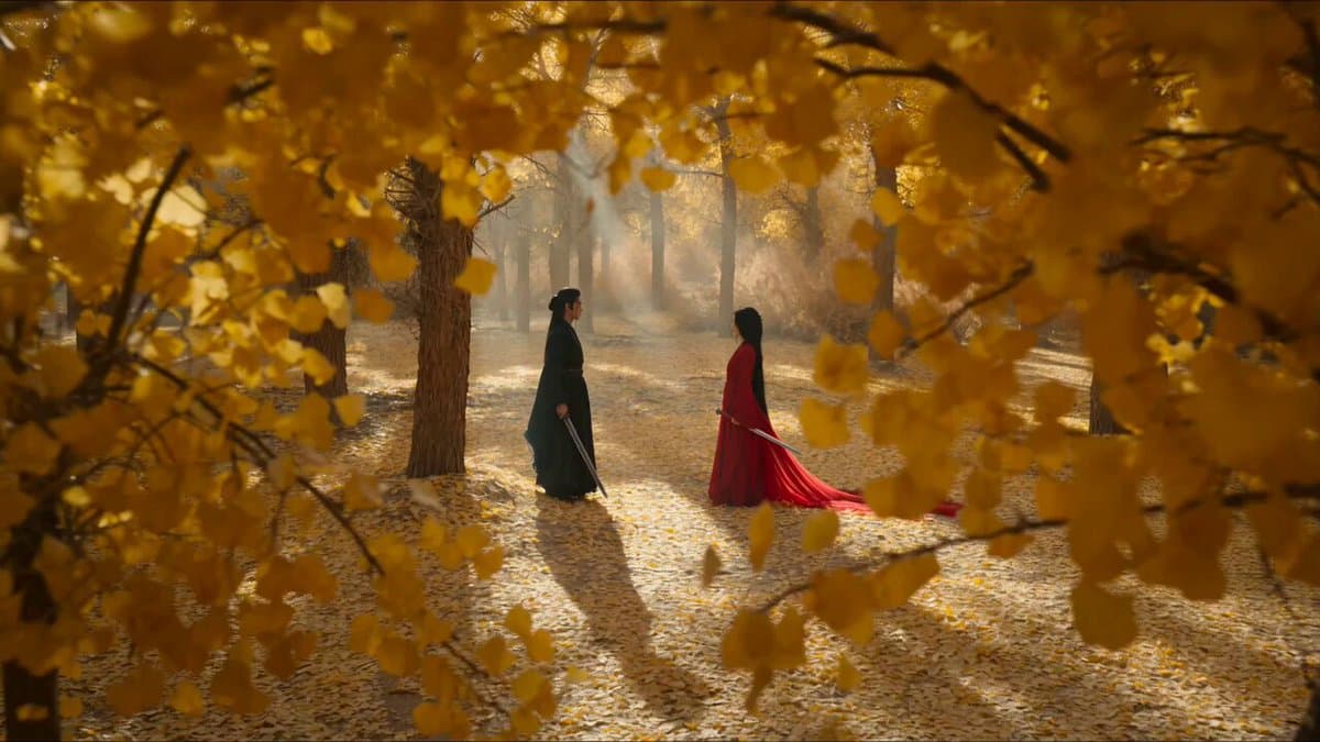 Forest Sword Fight Cinematography preview